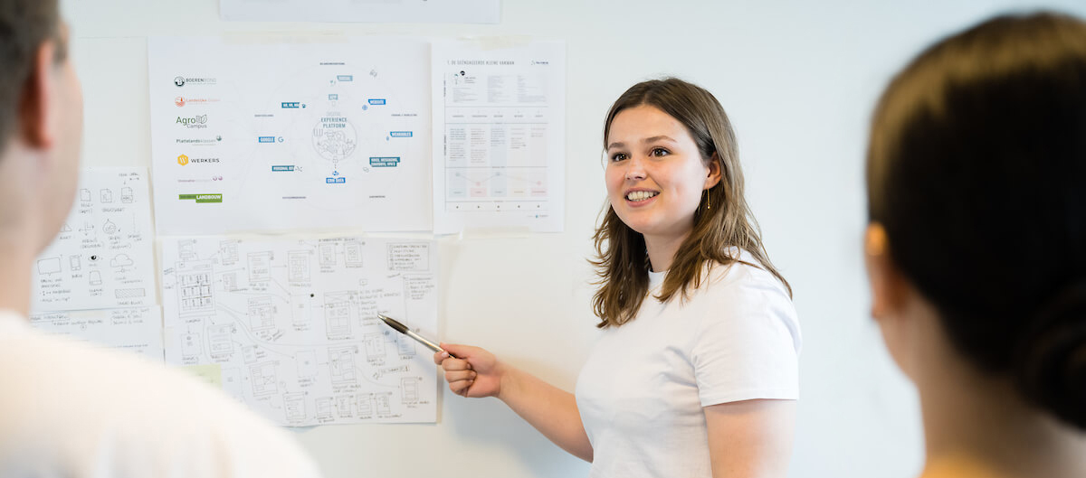 DS - brainstorm meeting wireframes - Lotte